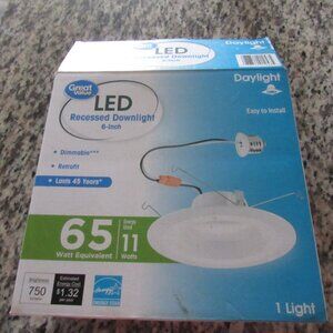 LED recessed light 6 inches